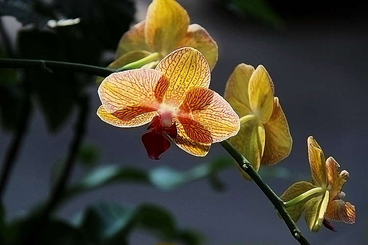 img_9348.jpg