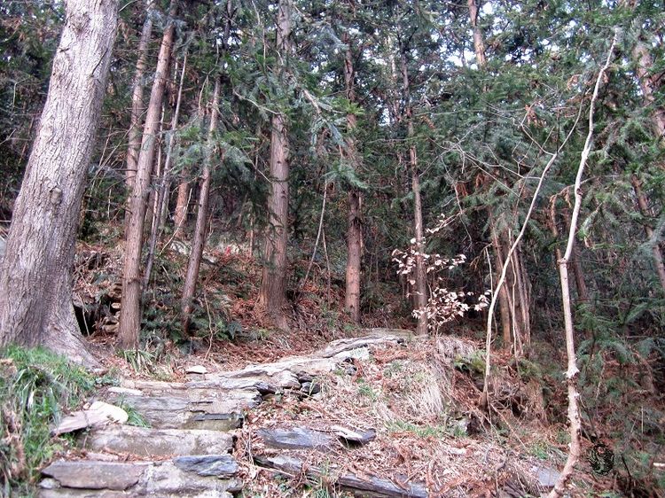 孝昌.双峰山 (34)_眸目压缩.jpg