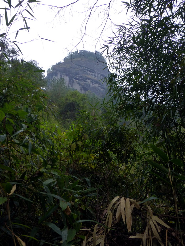p1290684.jpg