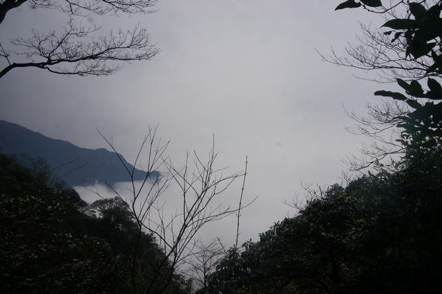 dsc09540.jpg
