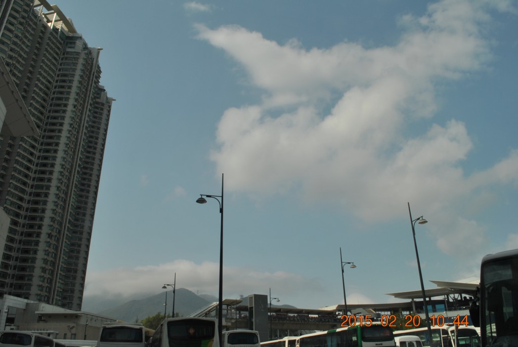 conew_dsc_0454.jpg