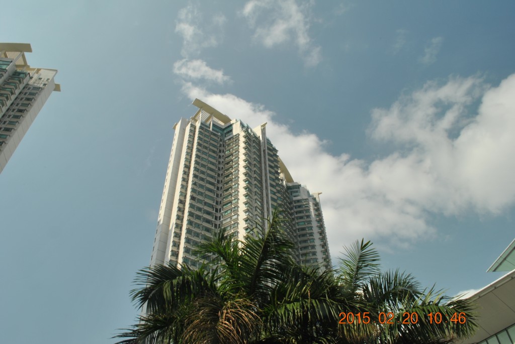 conew_dsc_0456.jpg