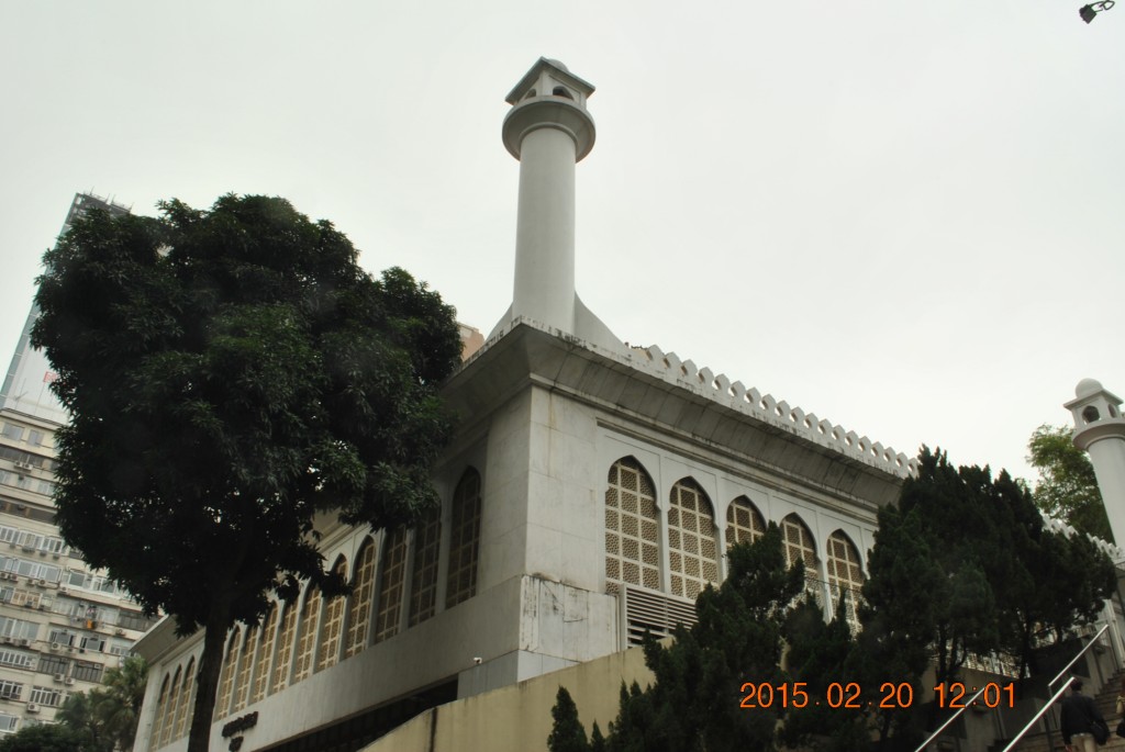 conew_dsc_0494.jpg
