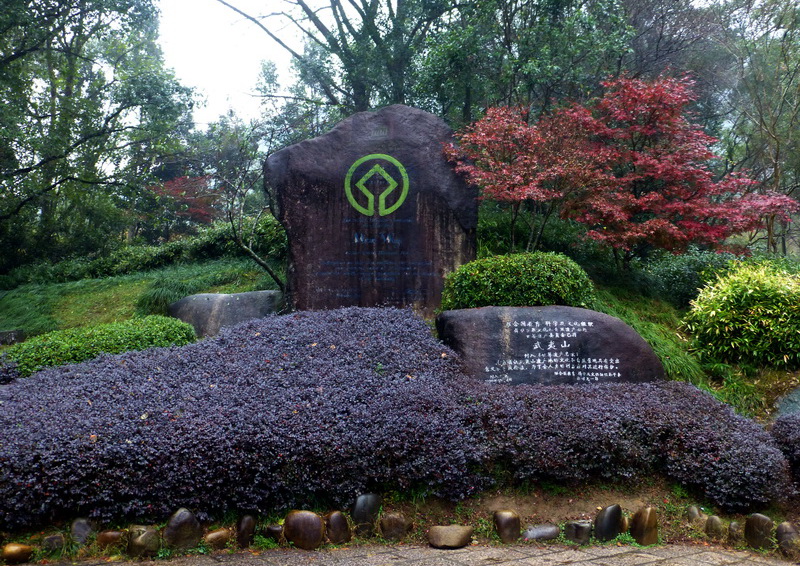p1290716.jpg