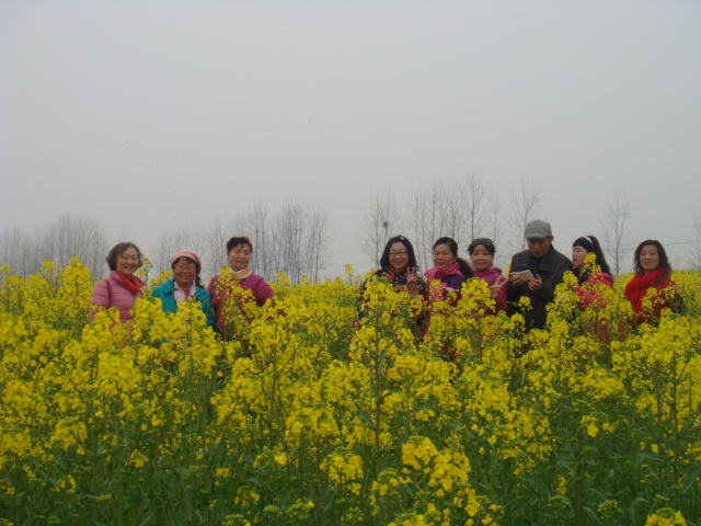 dsc06855.jpg