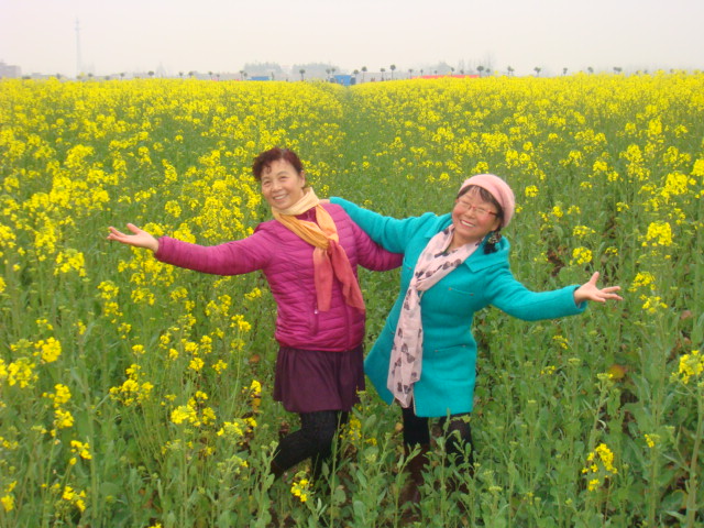 dsc06862.jpg