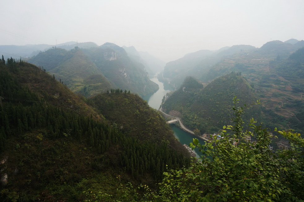 dsc05093.jpg