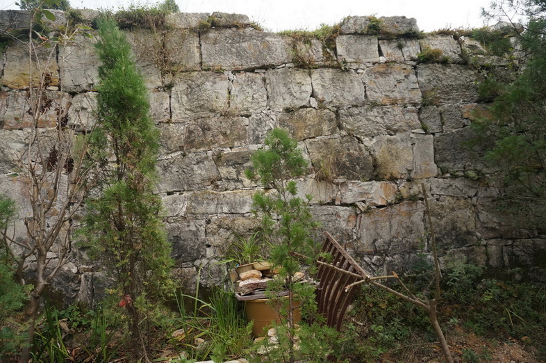 dsc05104.jpg