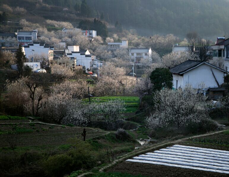 qqͼƬ20150310144249.jpg