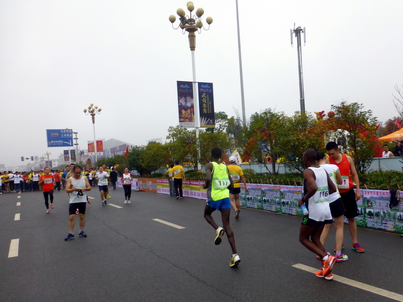p1290779.jpg