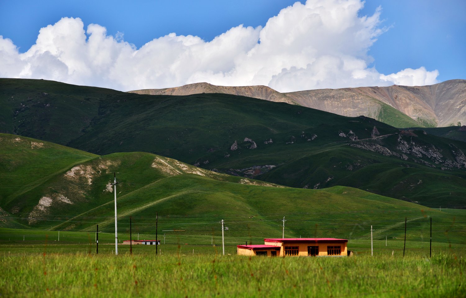 dsc_7318.jpg