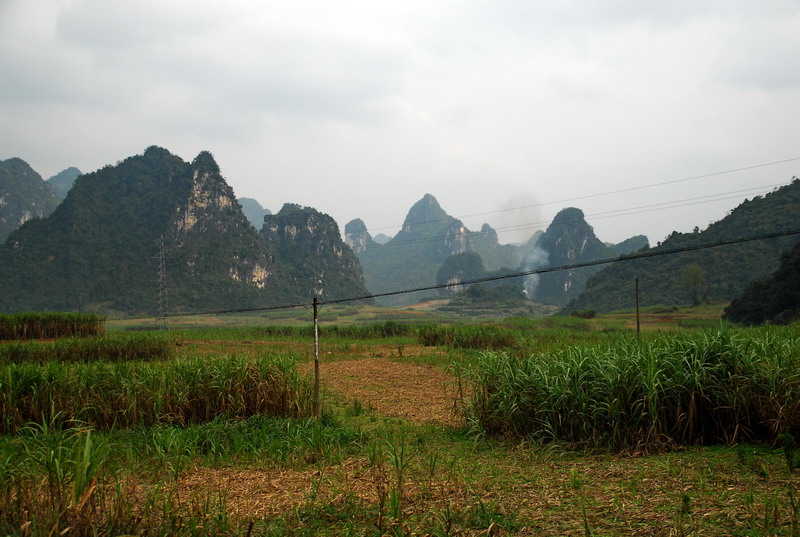 dsc_2897.jpg