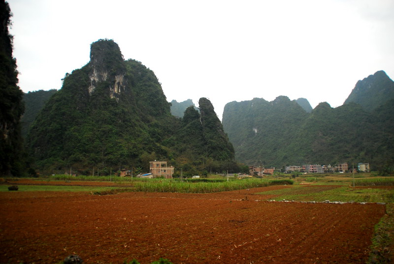 dsc_2917.jpg