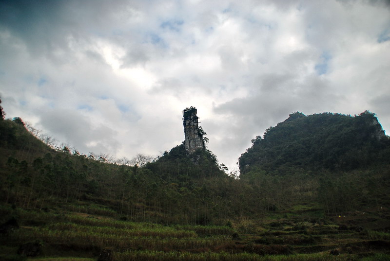 dsc_2923.jpg