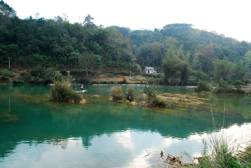 dsc_2950.jpg