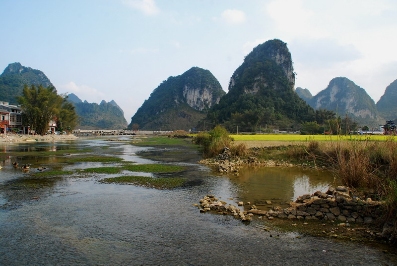 dsc_3137.jpg