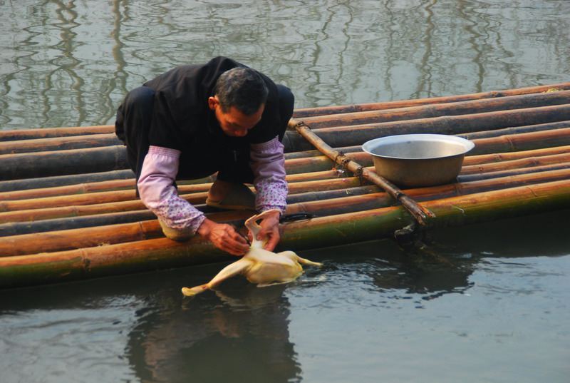 dsc_3373.jpg
