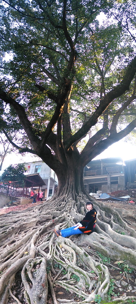 pano_20150220_091452.jpg