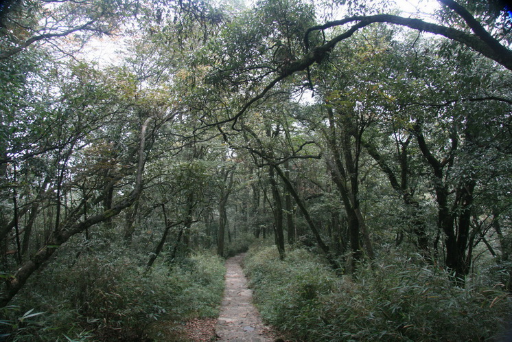 283.jpg