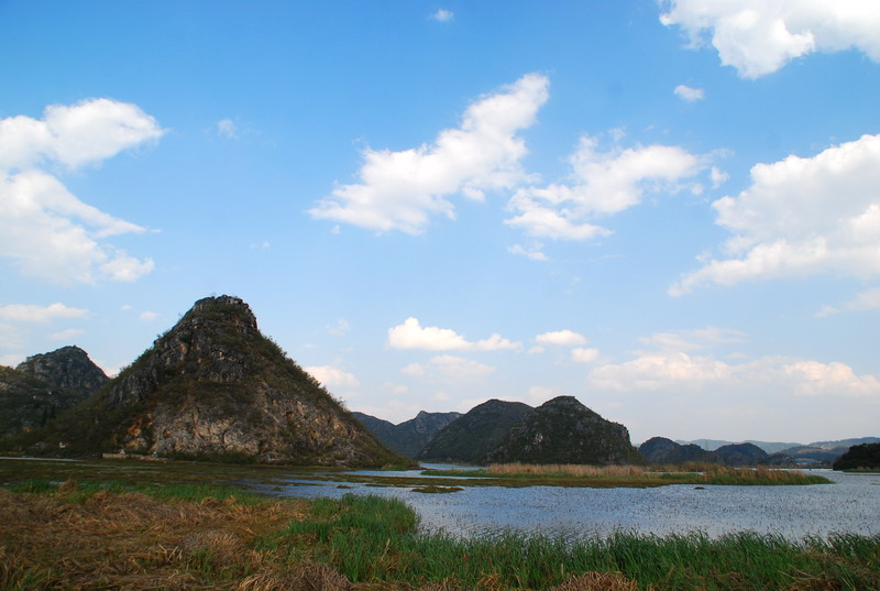 dsc_3485.jpg