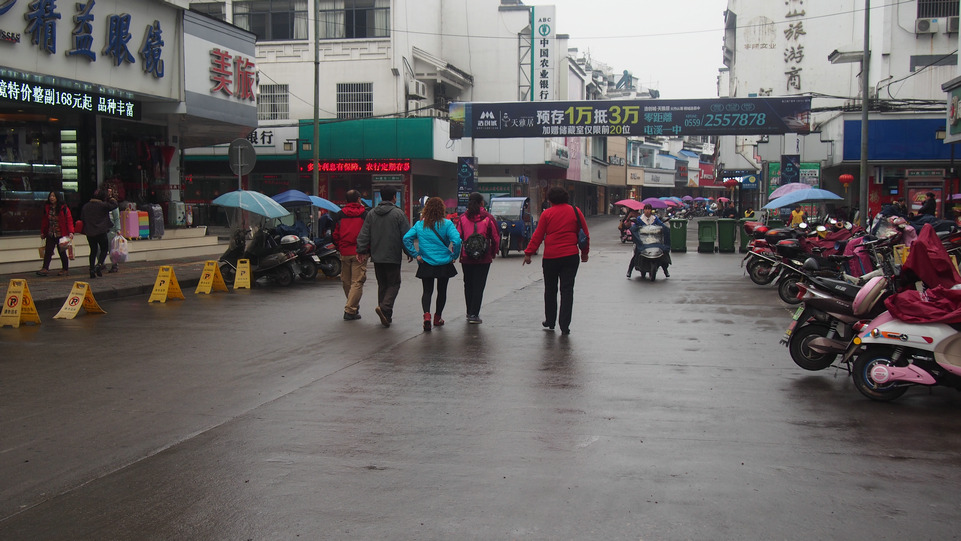 p3150410.jpg