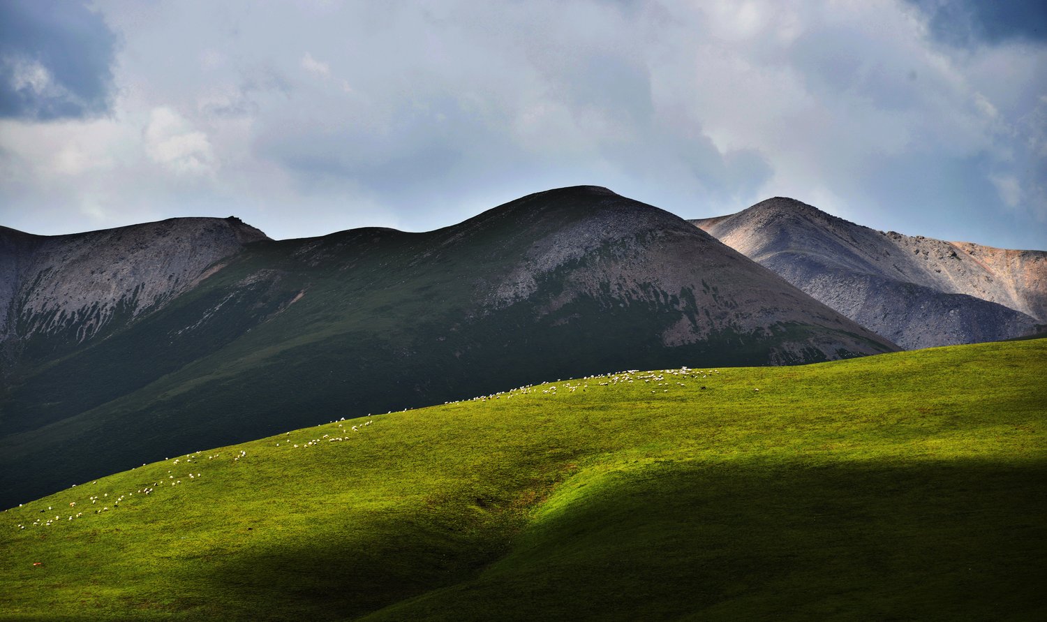 dsc_7694.jpg