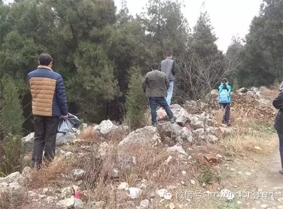 64011.jpg
