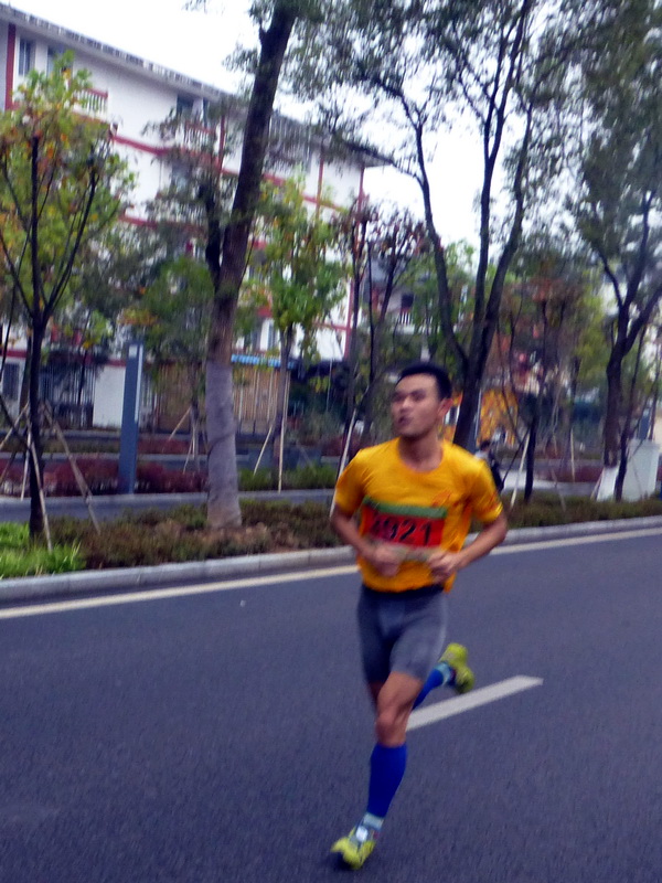 p1290835.jpg