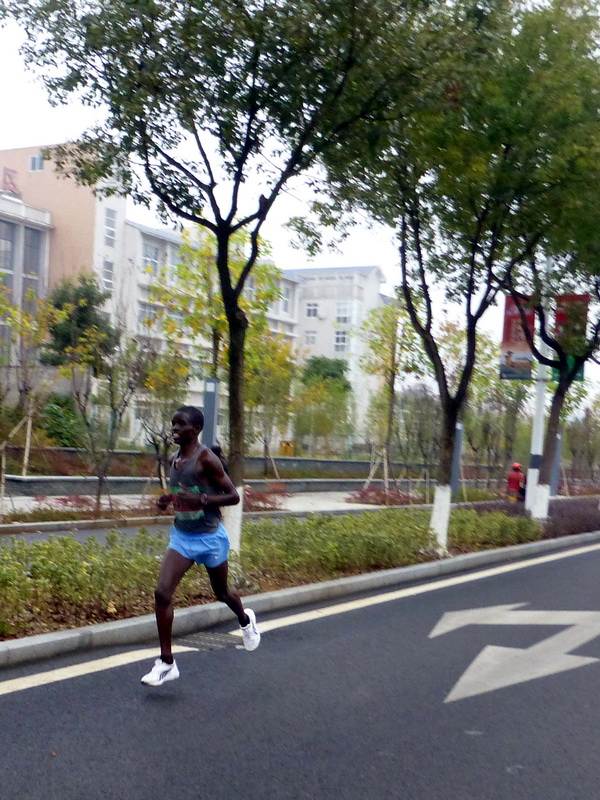 p1290837.jpg