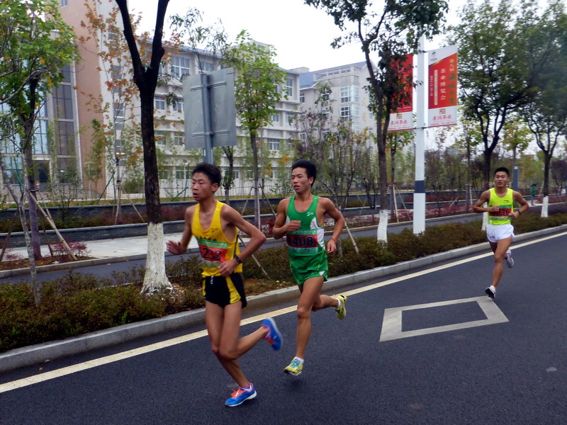 p1290839.jpg