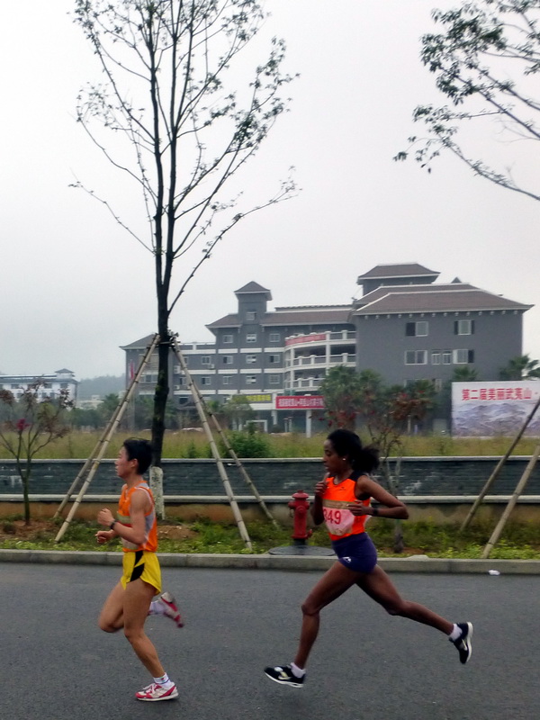 p1290847.jpg
