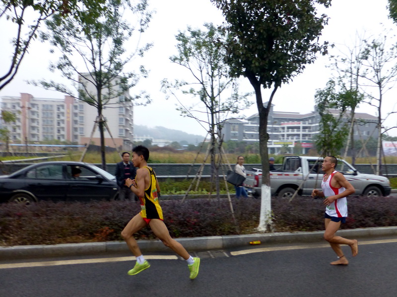 p1290843.jpg