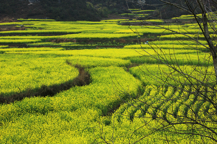 云南东川红土地 015_副本.jpg