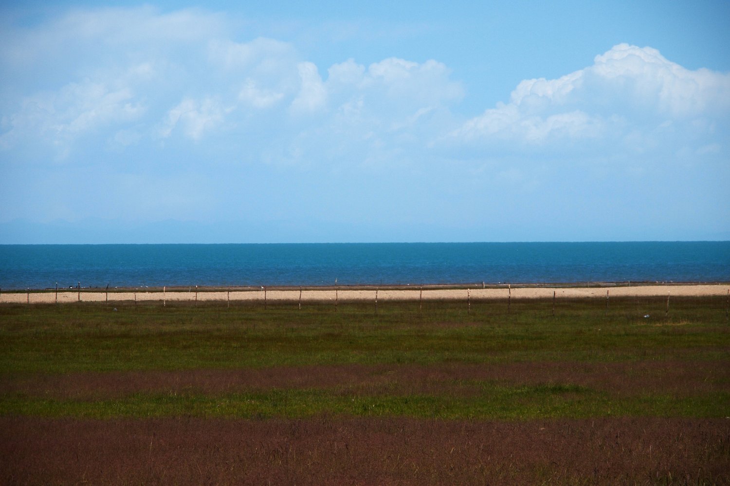 k1010114.jpg