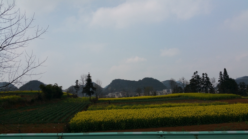 20150313_143611.jpg