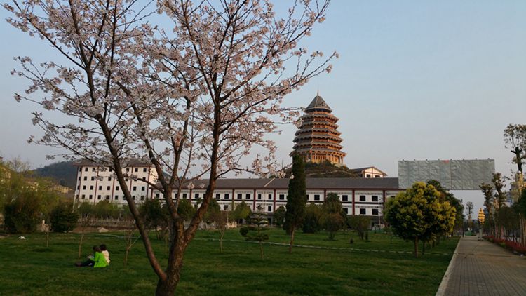 20150313_182559_.jpg