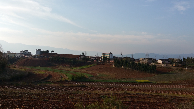 20150315_083956.jpg