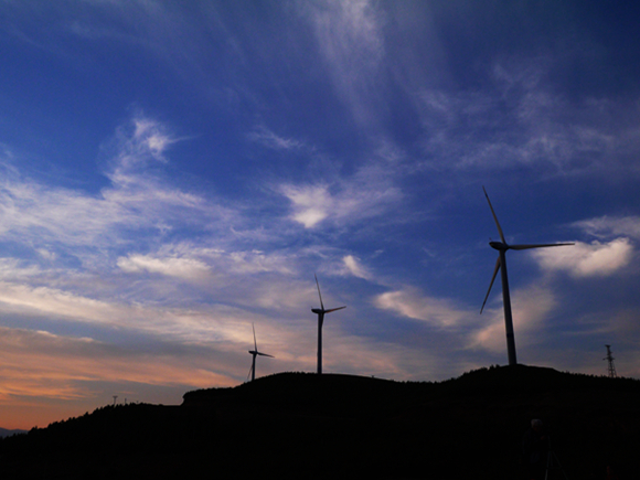 p1130700_.jpg
