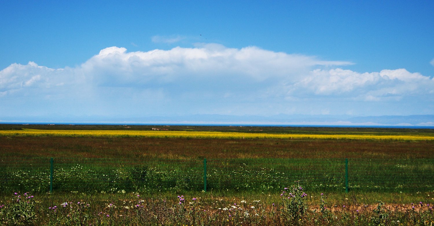 k1010133.jpg
