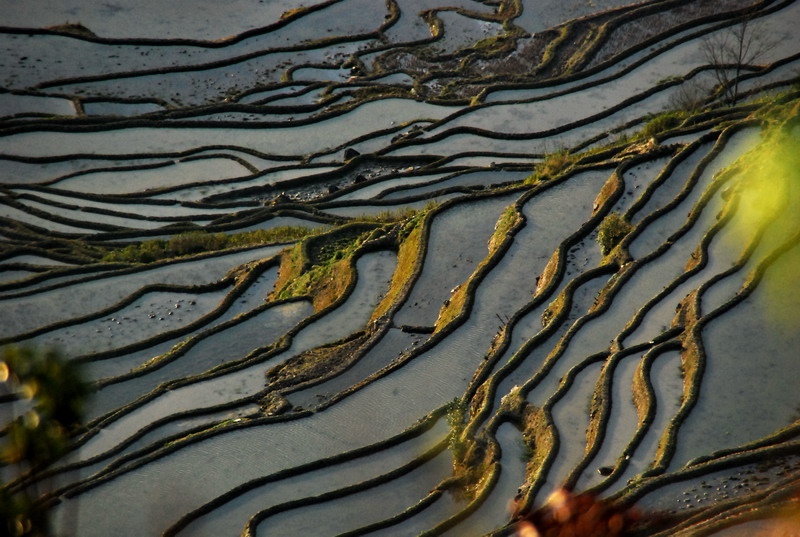 dsc_4253.jpg
