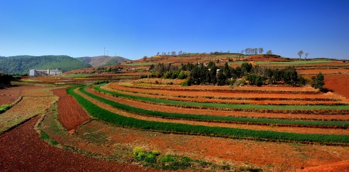 dsc_9568a.jpg