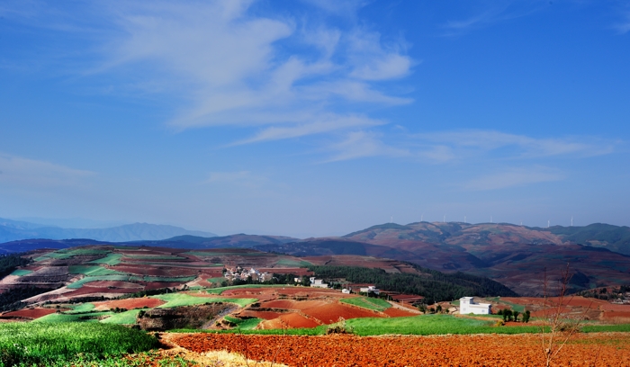 dsc_9821a.jpg