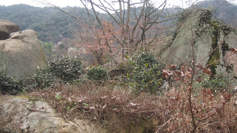 p3140165.jpg