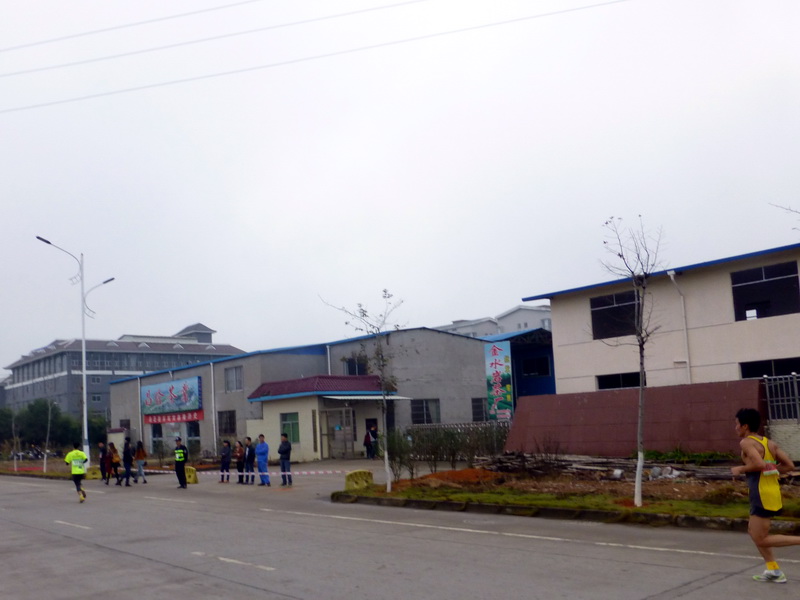 p1290866.jpg