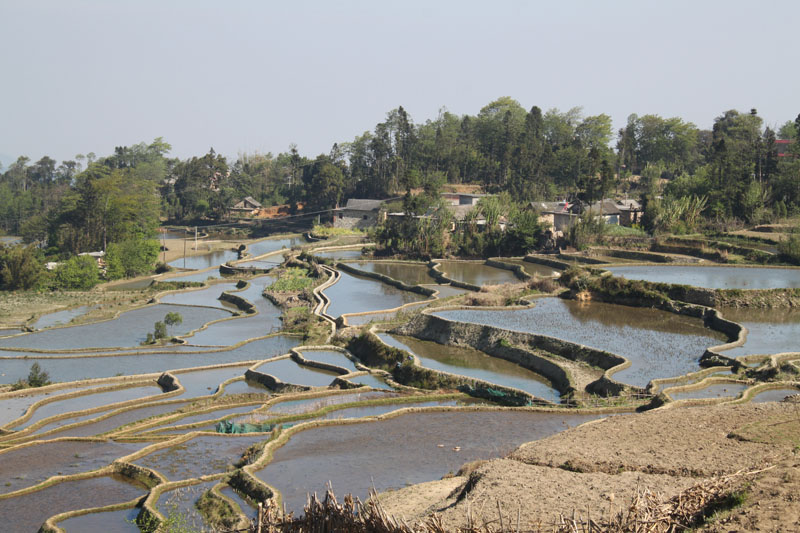 img_9364副本.jpg