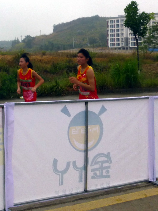 p1290868.jpg