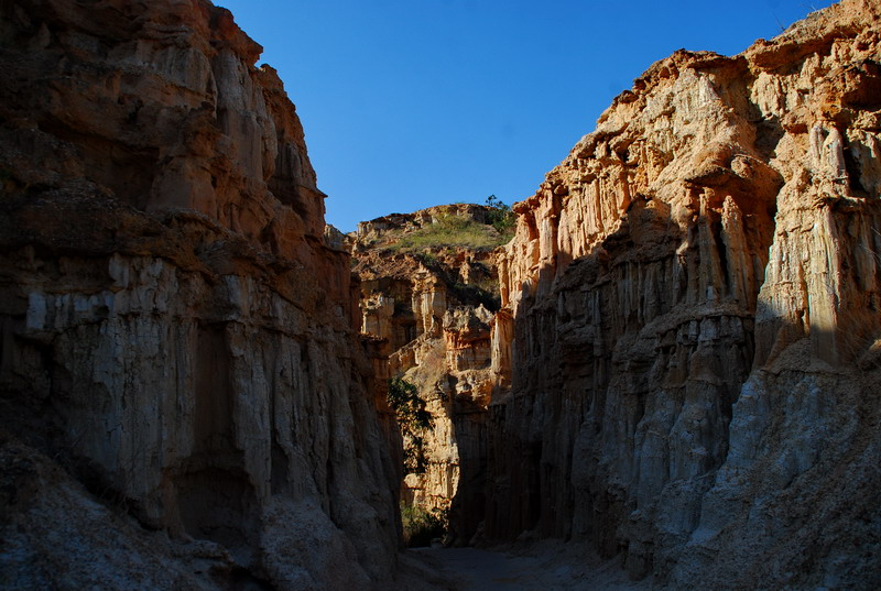 dsc_4654.jpg
