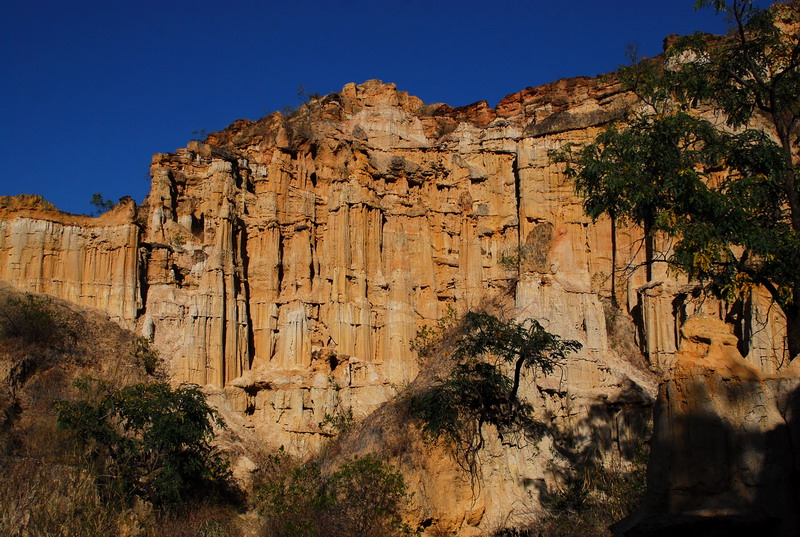 dsc_4666.jpg