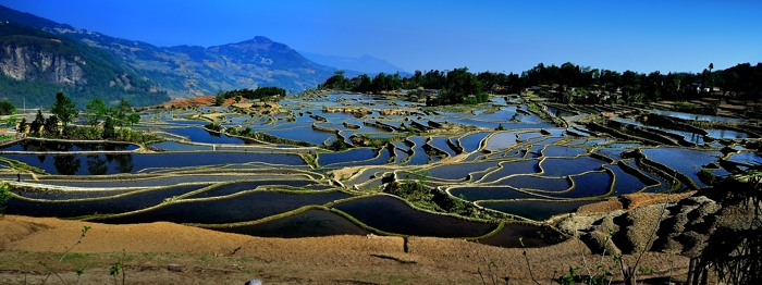 dsc_0019a.jpg