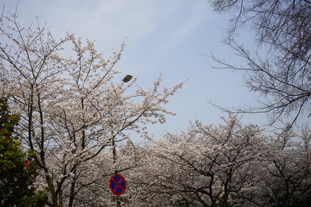 dsc09872.jpg